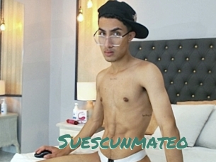 Suescunmateo