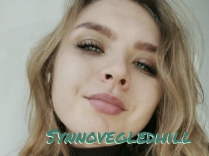 Synnovegledhill