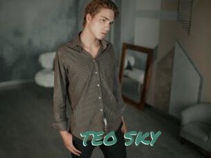 TEO_SKY