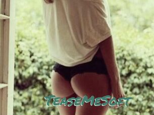 TeaseMeSoft