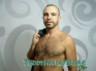 TeddyHairyBear