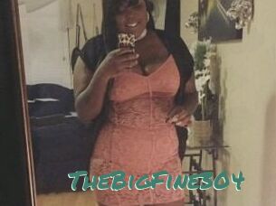 TheBigFine304