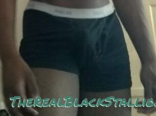 TheRealBlackStallion1