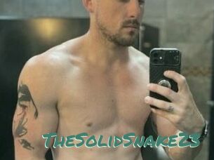 TheSolidSnake23