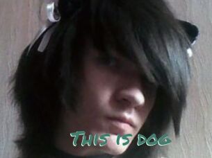 This_is_dog