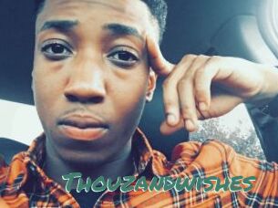 Thouzandwishes
