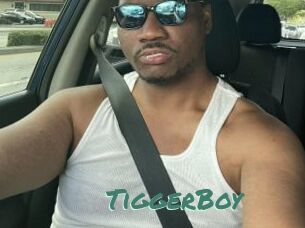 TiggerBoy