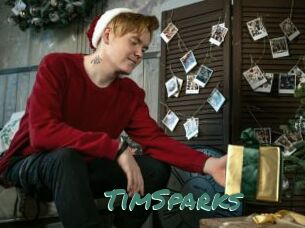 TimSparks