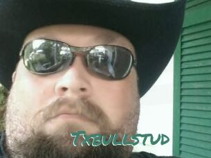 Txbullstud