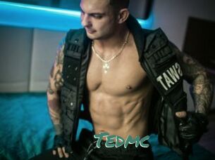 Tedmc