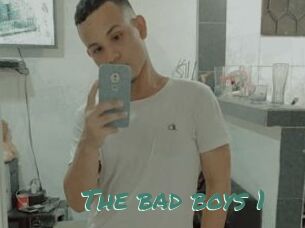 The_bad_boys_1
