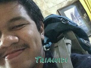 Triawidi