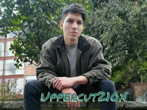 Uppercut210x