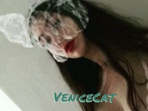 VeniceCat