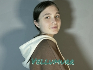 Vellumurr