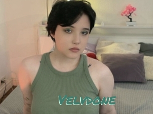 Velvdone