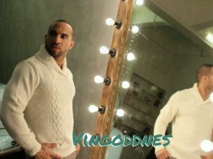 Vingoddnes