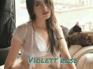 Violett_rose