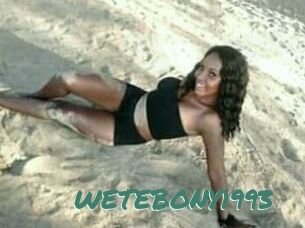 WETEBONY1993