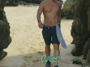 WeS1