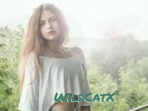 Wild_CatX