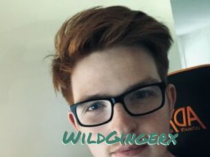 WildGingerx