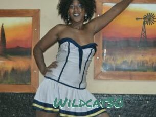 Wildcat30