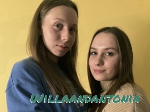 Willaandantonia