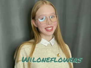 Wiloneflowers