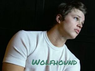 Wolfhound