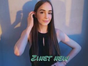 Zinet_new
