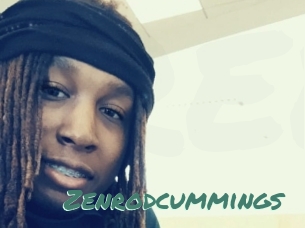 Zenrodcummings